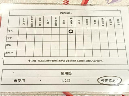 平和屋着物◎六通柄袋帯　唐織　孔雀　銀糸　正絹　逸品　BAAW2127yc