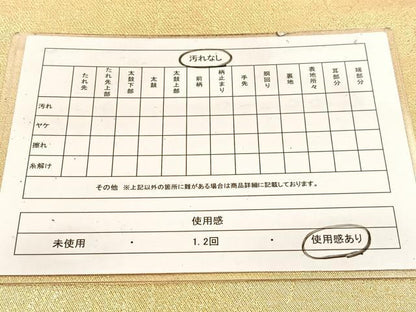 平和屋着物◎六通柄袋帯　金糸　正絹　逸品　BAAW2143yc