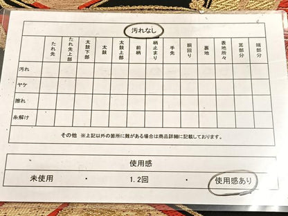 平和屋着物◎六通柄袋帯　唐織　亀甲花蝶文　黒地　金糸　正絹　逸品　BAAW2144yc