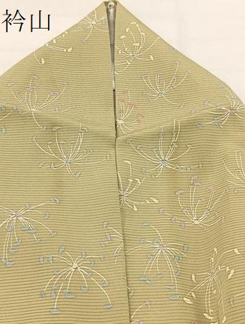 平和屋着物＊夏物　小紋　絽　舞花文　正絹　逸品　BAAW2221yc