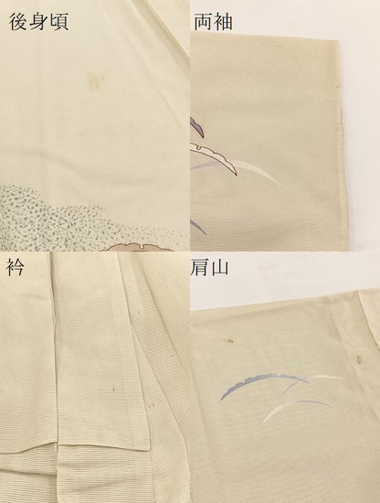 平和屋着物＊夏物 訪問着 絽 雪輪芝草文 鬼しぼ縮緬 正絹 逸品 BAAW2223yc