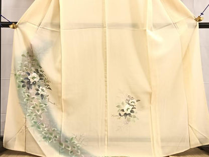 平和屋着物＊夏物 訪問着 絽 手描き 草花文 暈し染め 正絹 逸品 BAAW2224yc
