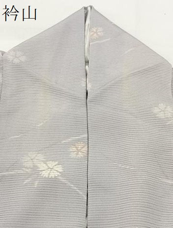 平和屋着物＊夏物 小紋 絽 撫子 正絹 逸品 BAAW2236yc