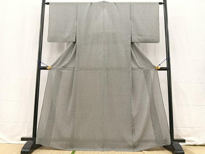 平和屋着物＊夏物 江戸小紋 絽縮緬 万筋 黒色×白色 正絹 逸品 BAAW2240yc