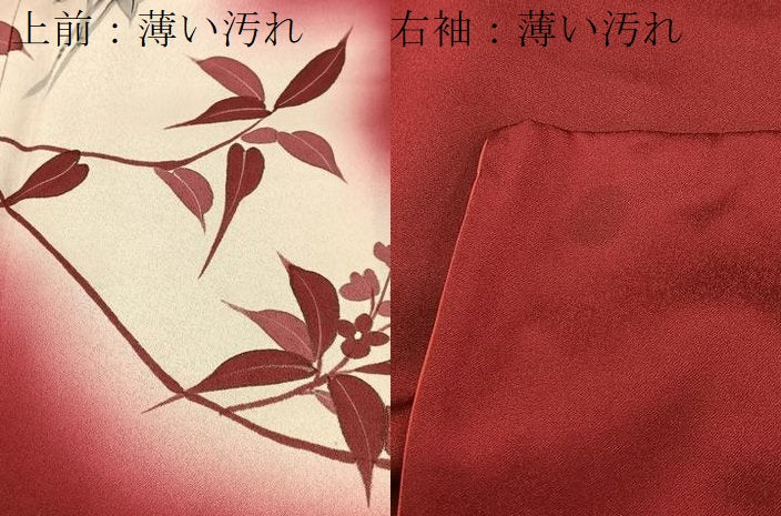 平和屋着物■訪問着 手描き 草花文 暈し染め 正絹 逸品 BAAW2264yc