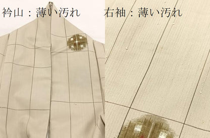 平和屋着物■上質な紬 吉祥文 正絹 逸品 BAAW2322yc
