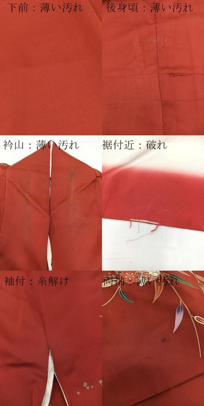 平和屋着物■訪問着 花蝶丸文 金彩 正絹 逸品 BAAW2395yc
