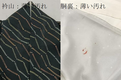平和屋着物■上質な小紋 幾何学文様 黒地 正絹 逸品 BAAW2415yc