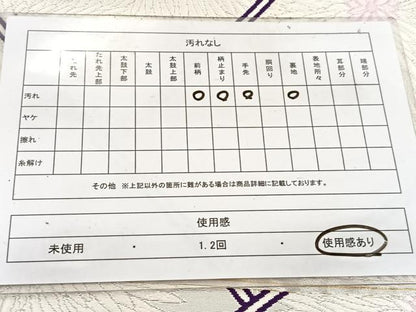 平和屋着物◎六通柄袋帯　唐織　檜垣菊花文　銀糸　正絹　逸品　BAAW2484yc