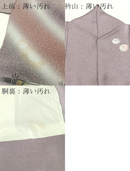 平和屋着物■訪問着　草花文　暈し染め　金彩　正絹　逸品　BAAW2536yc