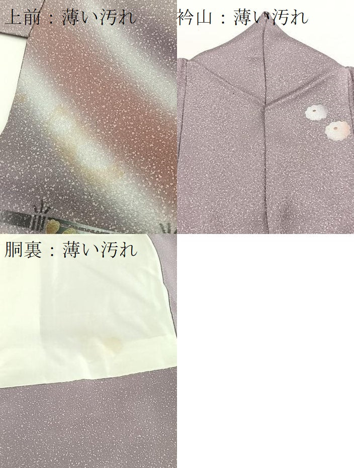 平和屋着物■訪問着　草花文　暈し染め　金彩　正絹　逸品　BAAW2536yc
