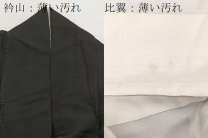 平和屋着物■豪華黒留袖 駒刺繍 扇面宝尽くし花文 金銀彩 正絹 逸品 BAAW2544yc
