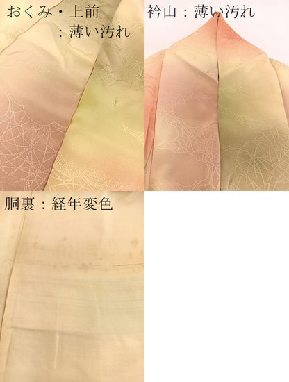 平和屋着物■上質な小紋　雲重ね芝草文　暈し染め　正絹　逸品　BAAW2545yc