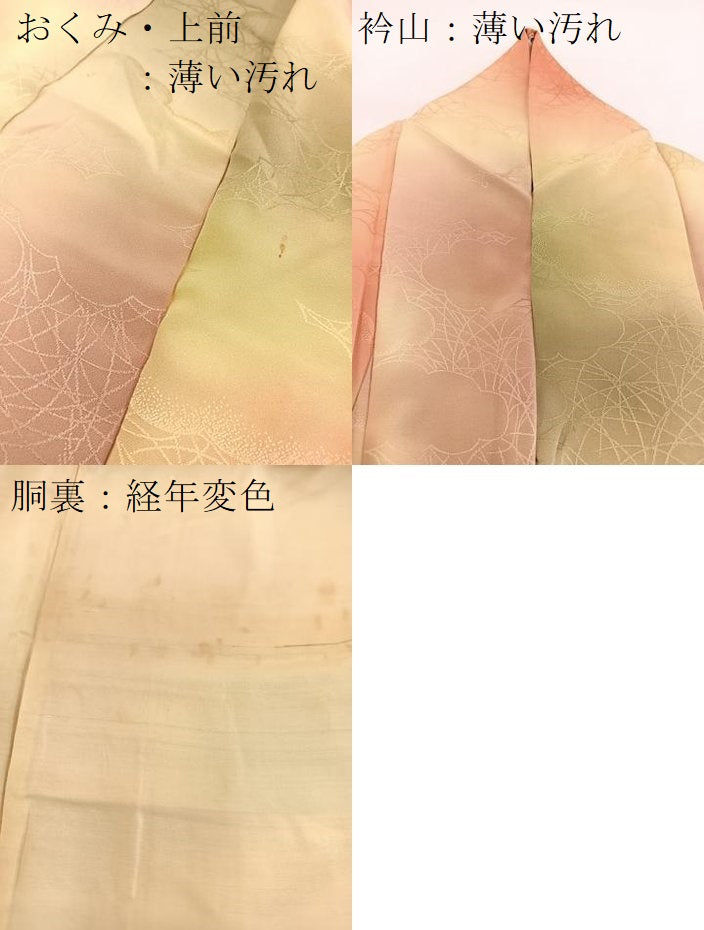 平和屋着物■上質な小紋　雲重ね芝草文　暈し染め　正絹　逸品　BAAW2545yc