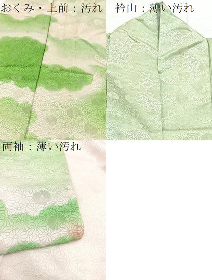 平和屋着物■訪問着 雲重ね菊花文 暈し染め 銀通し地 正絹 逸品 BAAW2574yc