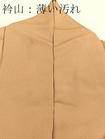 平和屋着物■訪問着　地紙草花文　暈し染め　金銀彩　正絹　逸品　BAAW2611yc