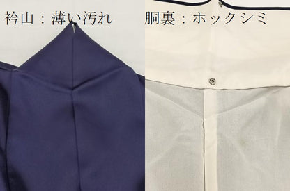 平和屋着物■訪問着　銀駒刺繍　吉祥文　正絹　逸品　BAAW2715yc
