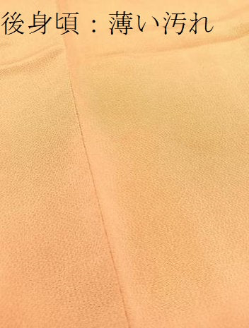 平和屋着物■上質な色無地　宍色　鬼しぼ縮緬　正絹　逸品　BAAW2718yc