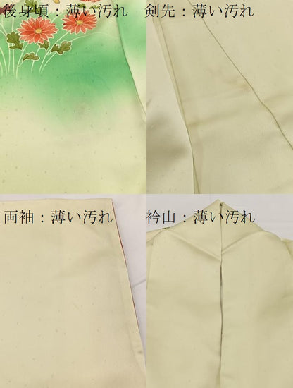 平和屋着物■訪問着　草花文　暈し染め　金彩　正絹　逸品　BAAW2720yc