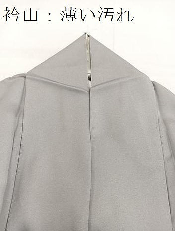平和屋着物■訪問着　飛鶴流水花文　金彩　正絹　逸品　BAAW2771yc