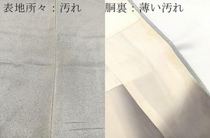 平和屋着物■訪問着　舟花文　たたき染め　正絹　逸品　BAAW2816yc