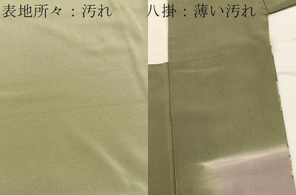 平和屋着物■訪問着　鬘帯花文　暈し染め　金彩　正絹　逸品　BAAW2835yc