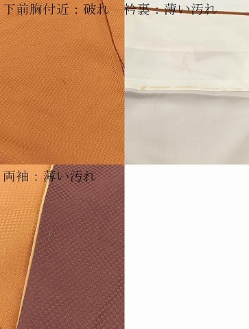 平和屋着物■訪問着　草花文　金彩　正絹　逸品　BAAW2909yc