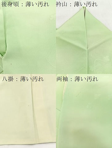 平和屋着物■上質な小紋　舞花文　暈し染め　正絹　逸品　BAAW293yc