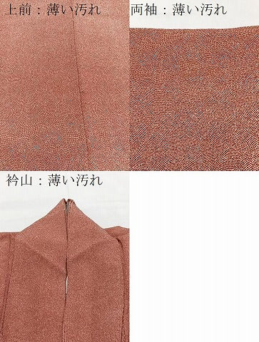 平和屋着物■江戸小紋　鮫小紋柄　正絹　逸品　BAAW2952yc