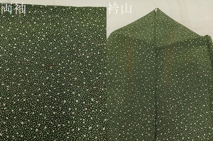 平和屋着物▽江戸小紋 単衣 大小あられ 正絹 逸品 BAAW3561mz