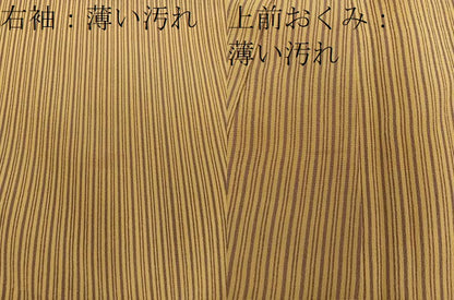 平和屋着物■上質な小紋 縞 正絹 逸品 BAAW3594mz