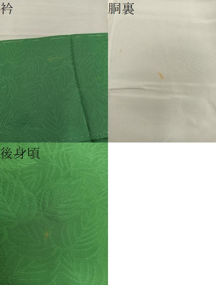 平和屋着物●上質な色無地 草葉地紋 松葉色 正絹 逸品 BAAW3609mz