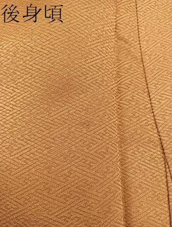 平和屋着物●訪問着 駒刺繍 枝椿 金銀彩 正絹 逸品 BAAW3615mz