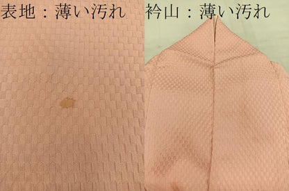 平和屋着物■訪問着　総刺繍　草花文　正絹　逸品　BAAW3669mz