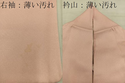 平和屋着物■訪問着 飛鶴文 暈し染め 金彩 正絹 逸品 BAAW3680mz