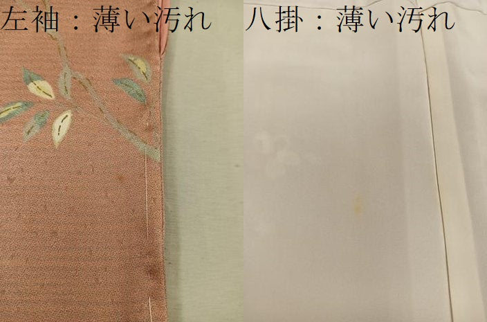 平和屋着物■上質な小紋 枝花文 金彩 正絹 逸品 BAAW3695mz
