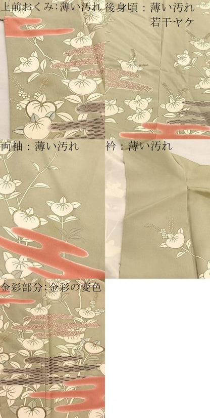平和屋着物■訪問着 駒刺繍 橘エ霞文 金彩 正絹 逸品 BAAW4286hv