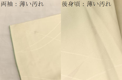 平和屋着物■訪問着 手描き 菊 金彩 正絹 逸品 BAAW4339hv