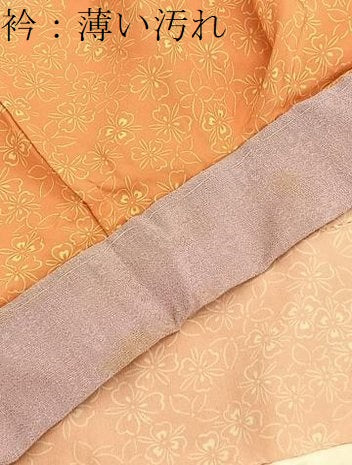 平和屋着物■上質な長襦袢 無双仕立て 草花文 暈し染め 鈴乃屋扱い 正絹 逸品 BAAW4579hv