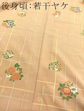 平和屋着物■上質な小紋 格子花丸文 金彩 正絹 逸品 BAAW4596hv