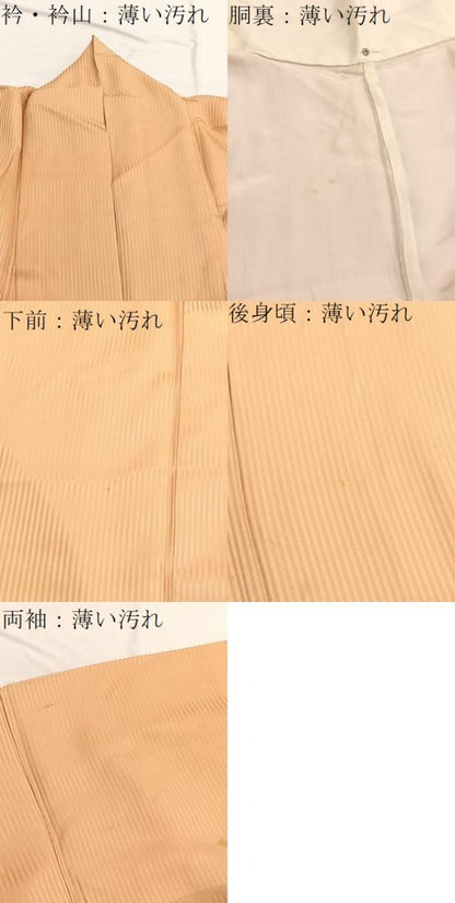 平和屋着物■訪問着 刺繍 松梅丸文 暈し染め 金彩 正絹 逸品 BAAW4644hv