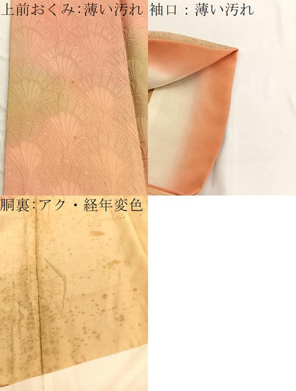 平和屋着物■上質な小紋 蝶青海波 暈し染め 正絹 逸品 BAAW4653hv