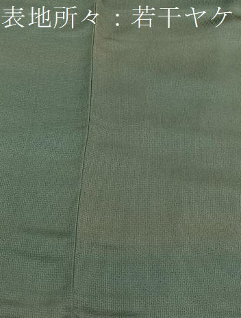 平和屋着物■訪問着 刺繍 箔散らし文様 暈し染め 金彩 正絹 逸品 BAAW4667hv
