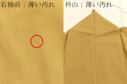 平和屋着物■江戸小紋 極小鮫小紋柄 正絹 逸品 BAAW4695hv