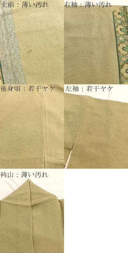 平和屋着物■訪問着　飾花文　金彩　正絹　逸品　BAAW4732hv