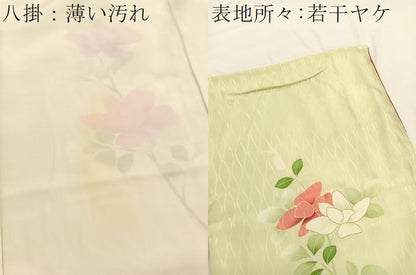 平和屋着物■訪問着 駒刺繍 枝花文 金彩 正絹 逸品 BAAW4743hv