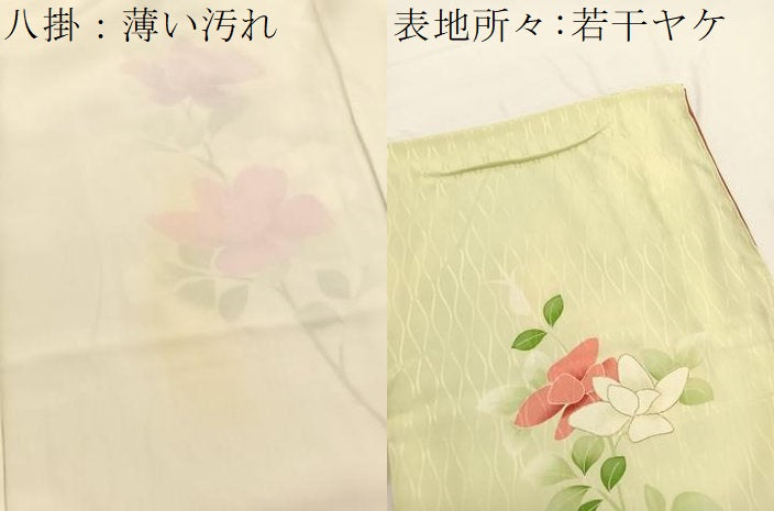 平和屋着物■訪問着 駒刺繍 枝花文 金彩 正絹 逸品 BAAW4743hv