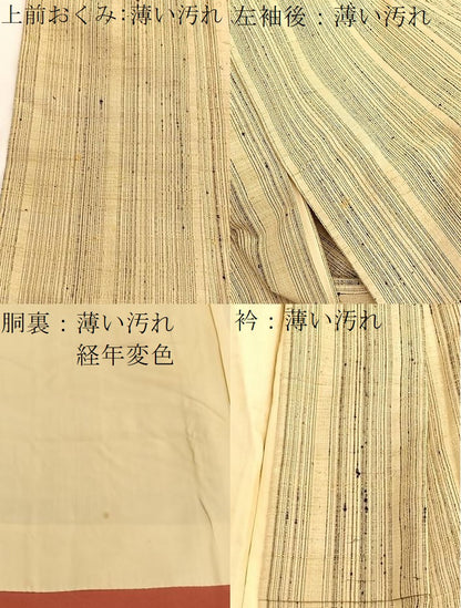 平和屋着物■上質な紬　縞　正絹　逸品　BAAW4768hv