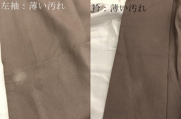 平和屋着物■訪問着 駒刺繍 竹屋町刺繍 舞蝶文 蛍暈し 金彩 正絹 逸品 BAAW4781hv