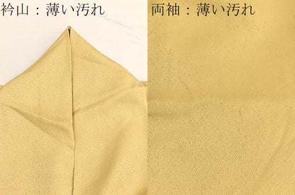 平和屋着物■色留訪問着　樹林文　暈し染め　正絹　逸品　BAAW4824hv